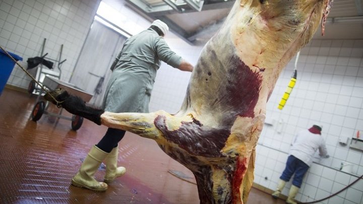 Subcontracting exploitation in the German meat industry