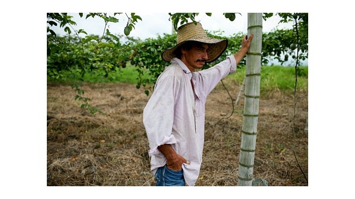 Campesinos colombianos en lucha por el derecho a la tierra