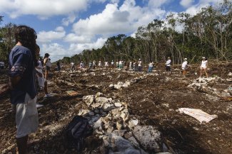 Le Train maya, le mégaprojet qui menace les écosystèmes de la péninsule du Yucatán