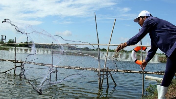 El delta del Mekong intenta no asfixiarse por el cambio climático y el desarrollo descontrolado