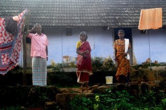 La famine tue des cueilleurs de thé en Inde