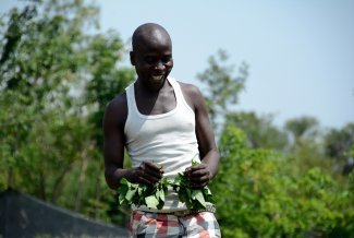 Can mentoring boost youth participation in Kenyan agriculture?