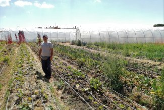 « Cultiver me coûte autant qu'auparavant » : la crise des intrants sous le prisme de l'agriculture bio
