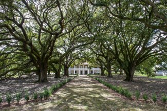 La Nouvelle-Orléans : un musée dédié à l'esclavage veut faire avancer l'Amérique