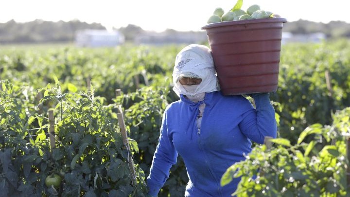 Being a Mexican migrant worker and female, a recipe for double discrimination