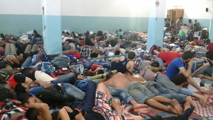 Sirios palestinos en Egipto que se enfrentan a la deportación hablan desde los centros de detención