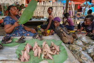 En Afrique centrale, la consommation de viande de brousse ne faiblit pas