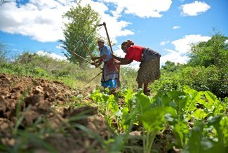L'agriculture climato-intelligente permettra-t-elle aux agriculteurs kenyans de vaincre l'insécurité alimentaire ?
