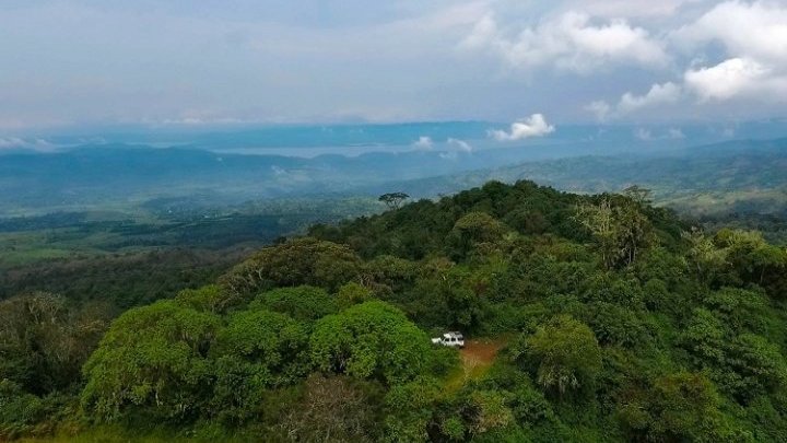 Devastación del segundo mayor bosque tropical del mundo al tiempo que comunidades sin tierra luchan por sus derechos