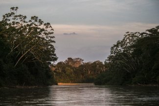 Reforzar los derechos forestales de las comunidades: un frente fundamental en la lucha contra el cambio climático